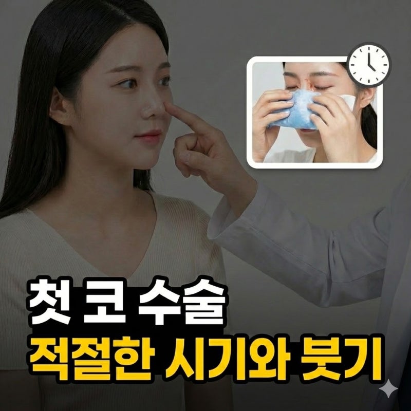Q. 코수술 한달 붓기는 어느 정도일까? 코성형 전 궁금증들