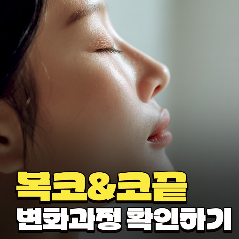 복코수술전후 변화 과정과 코끝 구조 개선 흐름 함께 보기