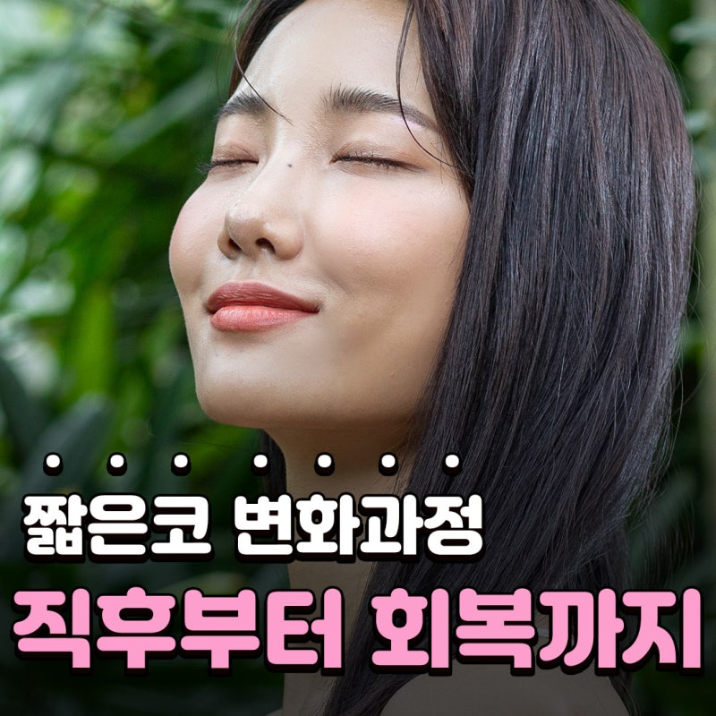 짧은코 성형 전후 얼마나 변할까? 짧은코 변화 과정과 회복까지