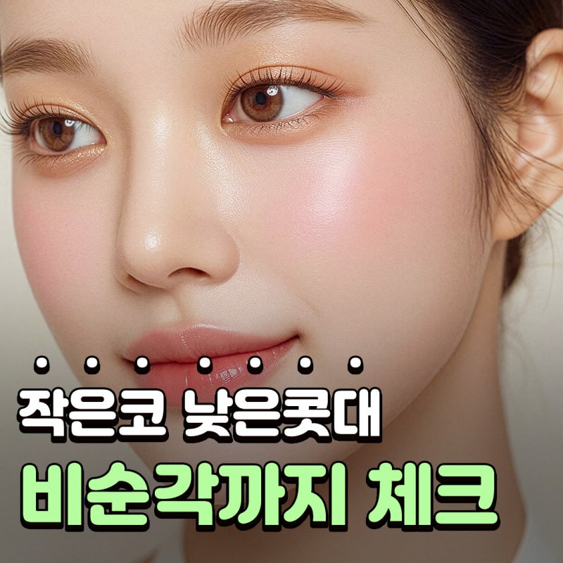 낮은코성형 코끝부터 비순각까지 함께 봐야 하는 3가지 이유
