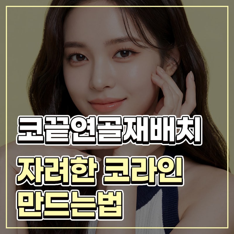 코끝연골재배치 자연스러운 자려한 코를 만드는 3가지 포인트