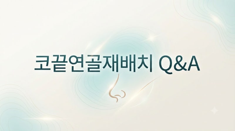 코끝연골재배치 자연스러운 자려한 코를 만드는 3가지 포인트
