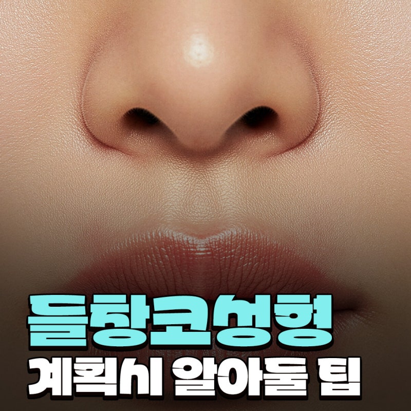 들창코성형 정면에서 콧구멍이 많이 보일 때 코끝 방향을 먼저 보는 이유