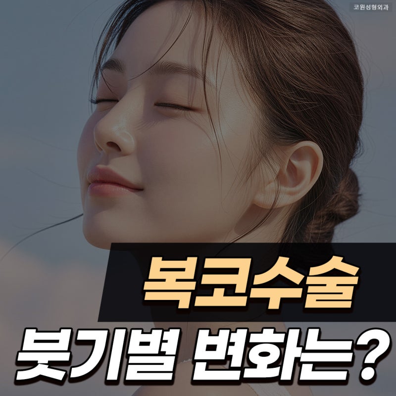 코끝연골묶기 붓기 복코 라인 변화와 회복 과정