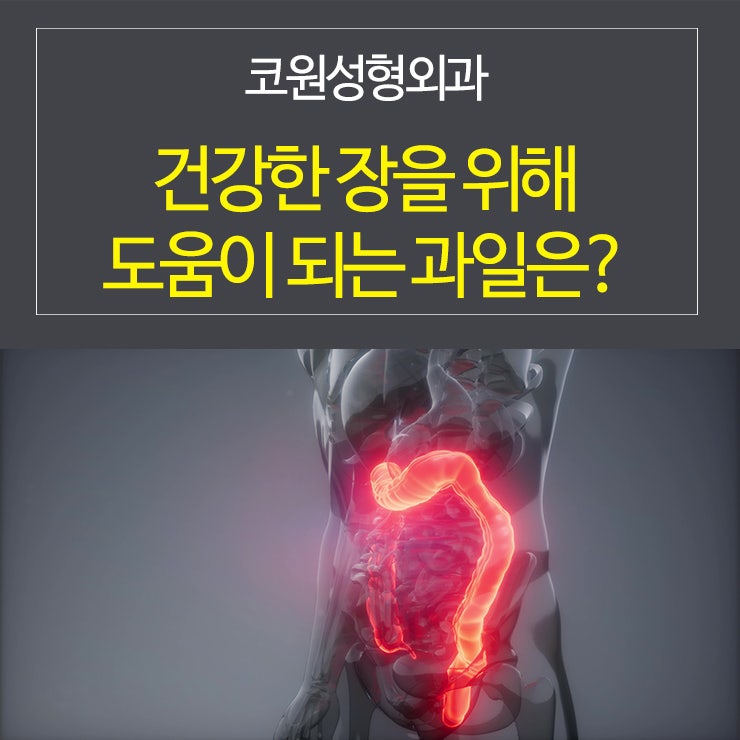 건강한 장을 위해 도움이 되는 과일을 알아볼까요?