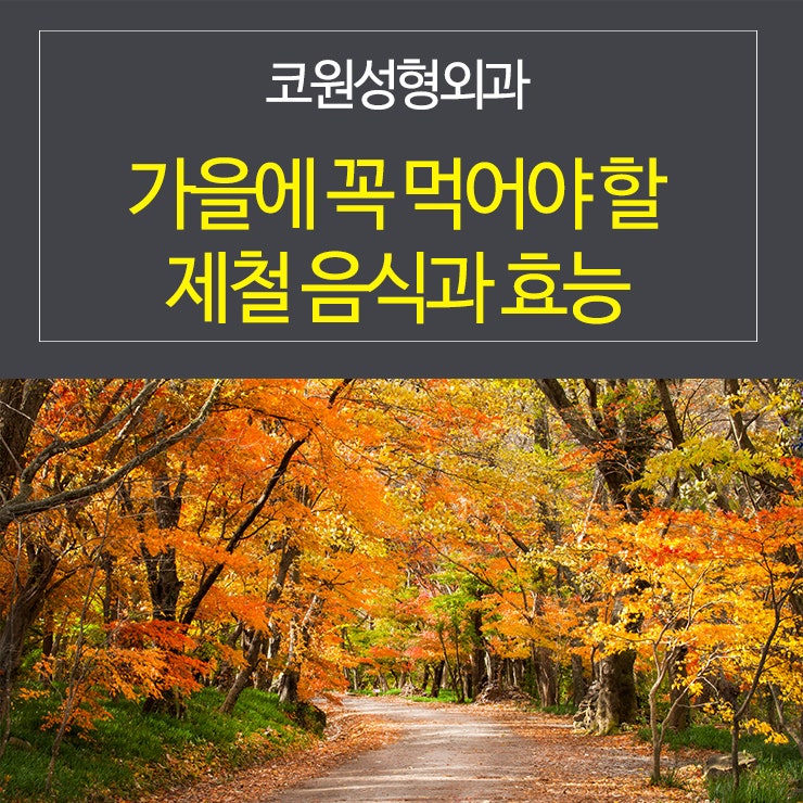 가을에 꼭 먹어야 할 제철 음식과 효능을 알아볼까요?