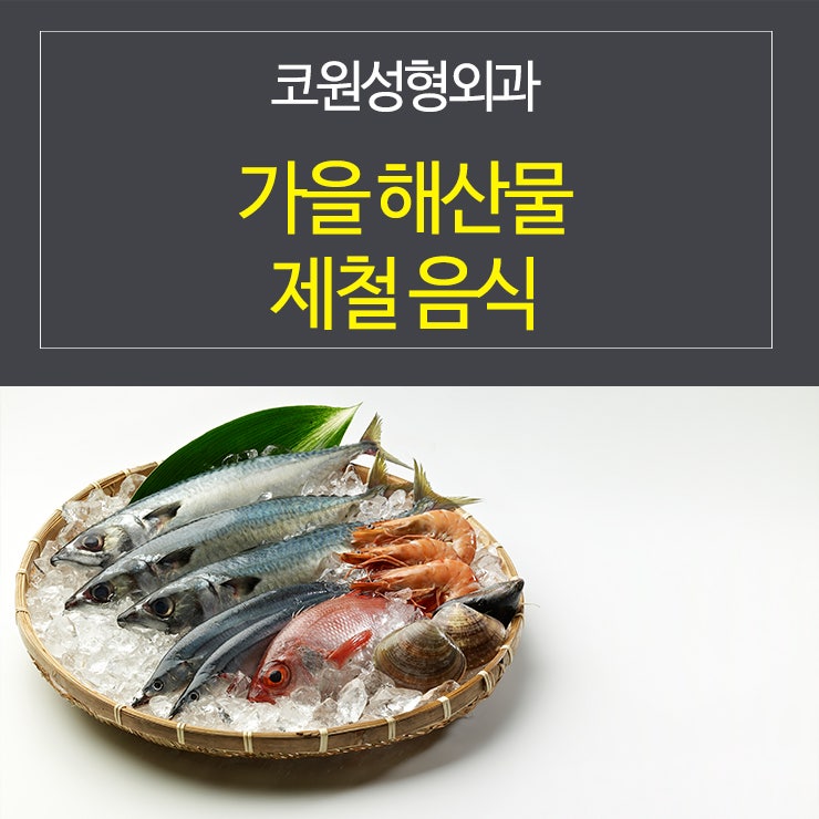 가을 해산물 제철음식