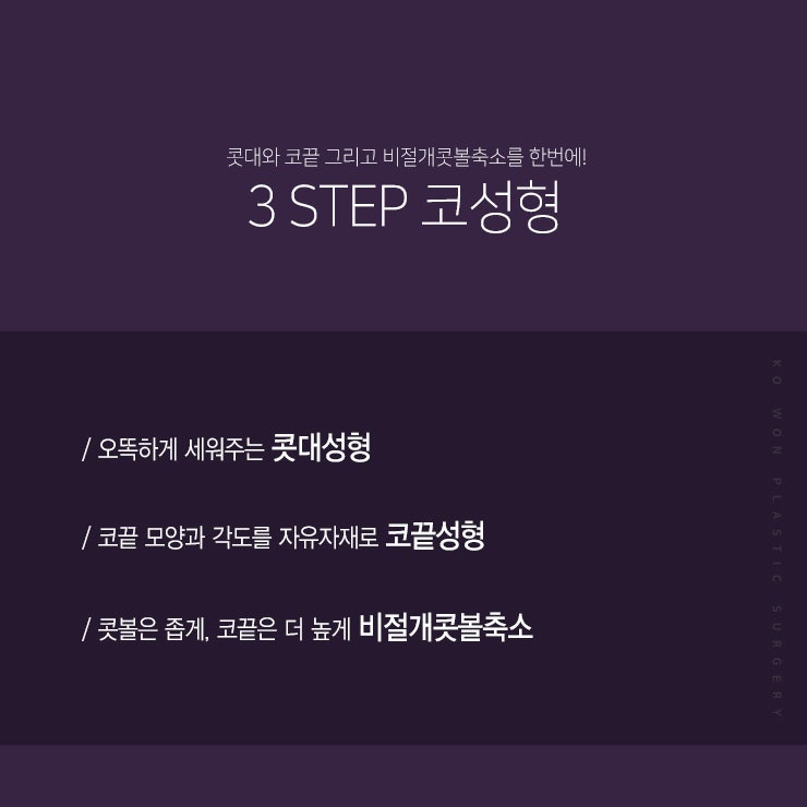 낮은콧대성형, 전체적인 코 라인이 중요