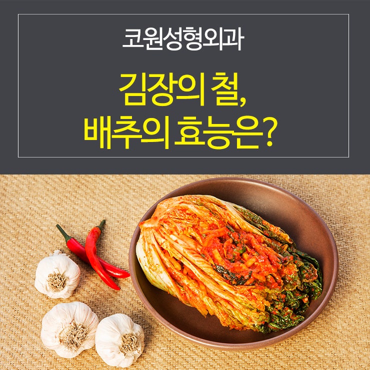 김장의 철, 배추의 효능은 무엇일까