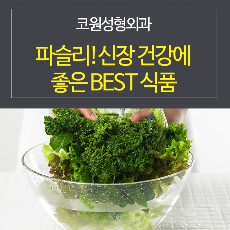 파슬리, 신장 건강에 좋은 베스트 식품