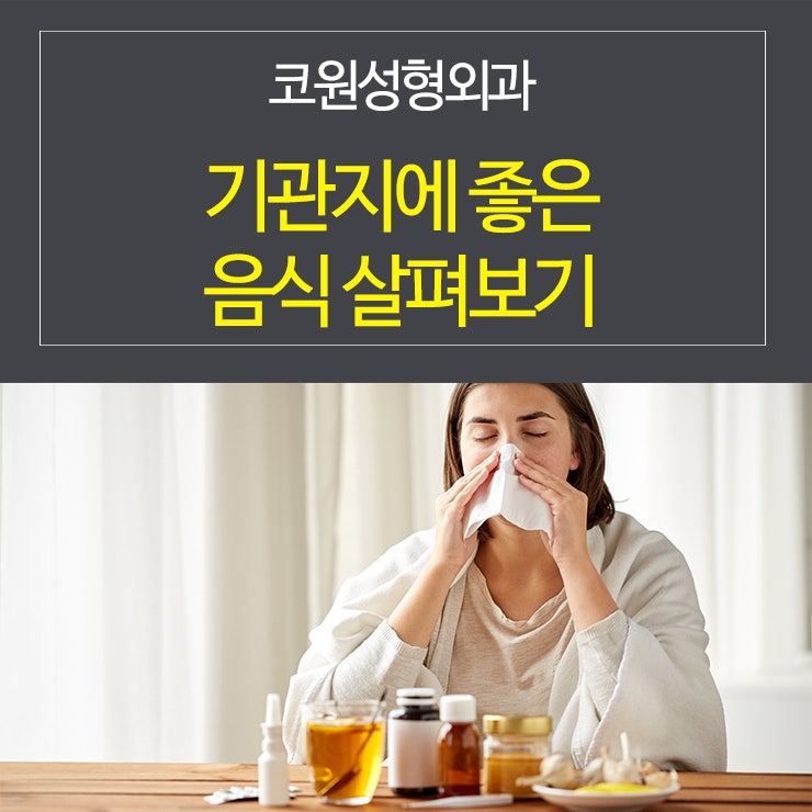 기관지에 좋은 음식 살펴보기