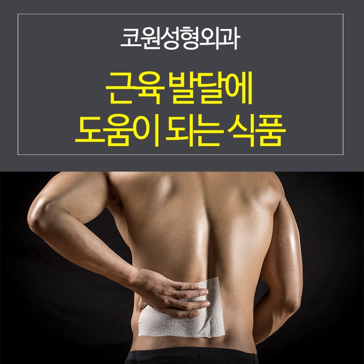 근육 발달에 도움이 되는 식품들