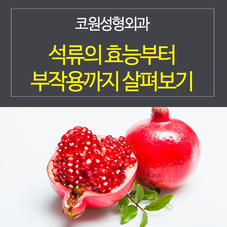석류의효능부터 부작용까지 살펴보기