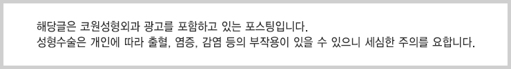 복코콧볼축소 진행으로 얄쌍한 코느낌으로 만들기 사진 10