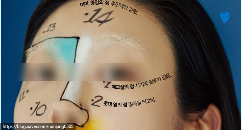 얼굴점위치 복점 흉점 관상