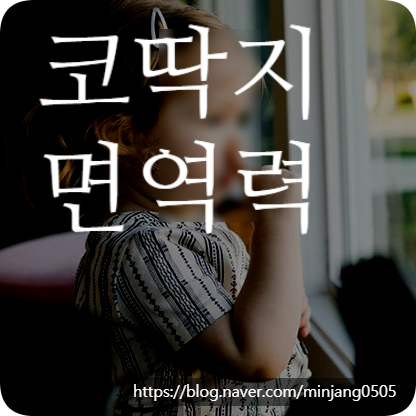 코딱지 면역력 영양분 건강 정보