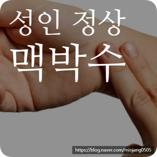 성인 정상 맥박수 정상범위 분당 몇회