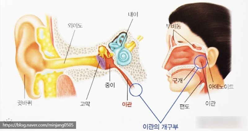 귀멍멍할때 원인 이유와 해결방법 사진 4