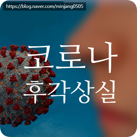 코로나 후각상실이 생기는 이유 감염 증상