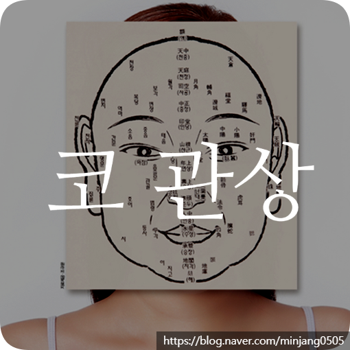 코관상 보는 법 모양별 해석