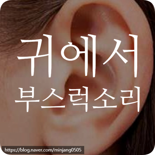 귀에서부스럭소리 웅웅 이명 증상 원인