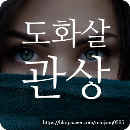 도화살 관상 특징 및 역마살 뜻
