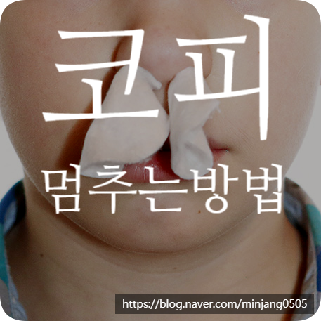 코피멈추는방법 지혈 및 주의사항