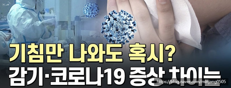 코로나노란가래 증상 및 감기 차이점 사진 6
