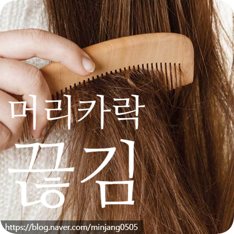 머리카락끊김 증상 및 음식 보습 관리법