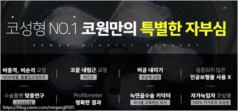 주먹코 지방제거와 콧날개축소 및 퍼진코수술 후기 사진 11