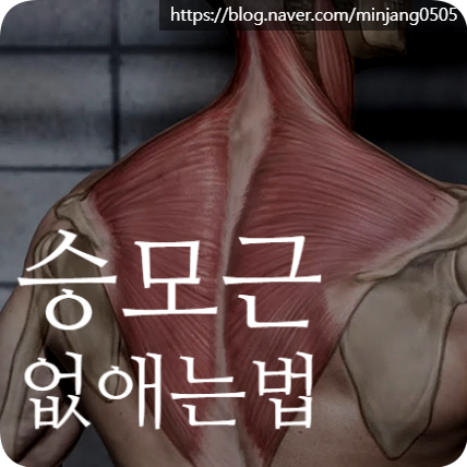 승모근없애는법 및 생활습관 거북목 원인