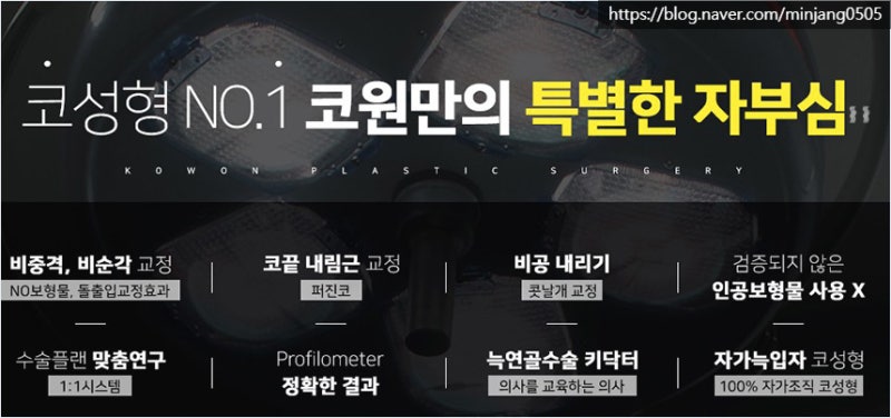 콧대높이기 낮은매부리코 개선 및 콧볼축소수술후기 사진 10