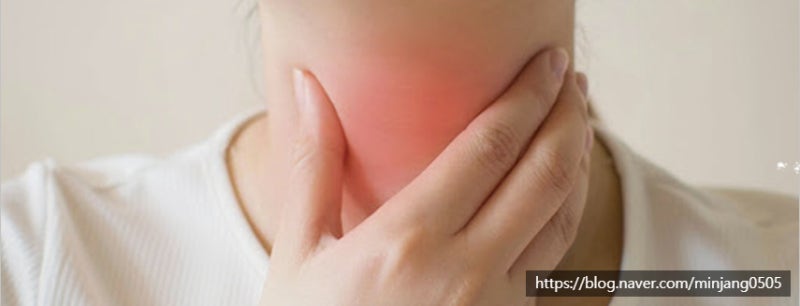 침삼킬때이물감 목통증원인 및 해결방법 사진 3