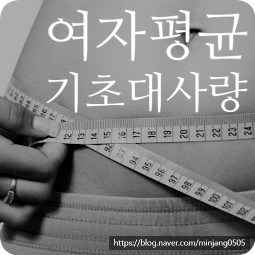 여자 평균 기초대사량 및 다이어트 요요현상