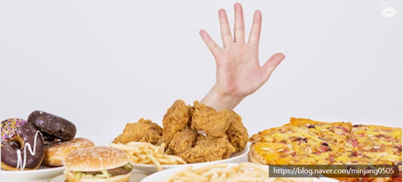 여자 평균 기초대사량 및 다이어트 요요현상 사진 9
