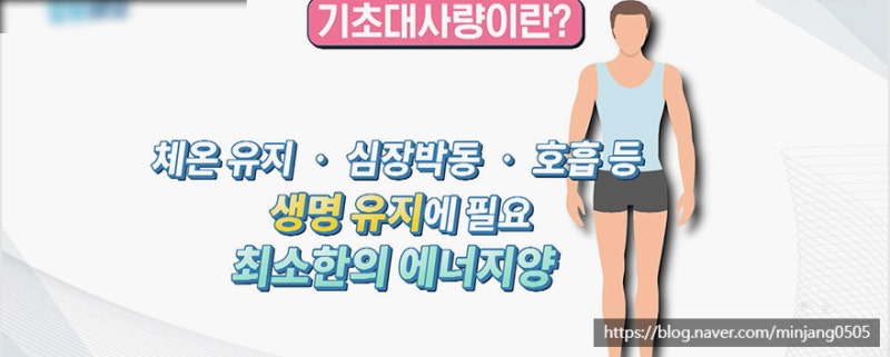 여자 평균 기초대사량 및 다이어트 요요현상 사진 2