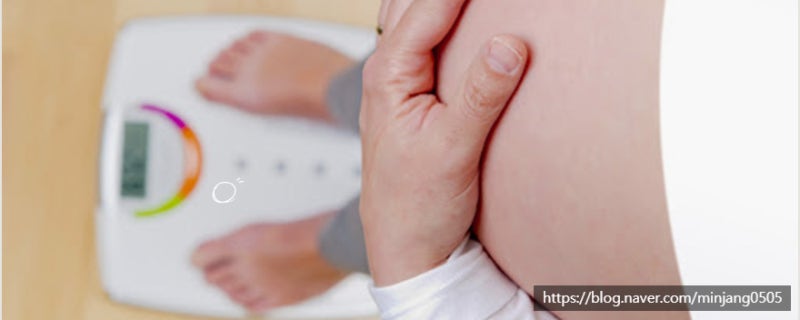 여자 평균 기초대사량 및 다이어트 요요현상 사진 10