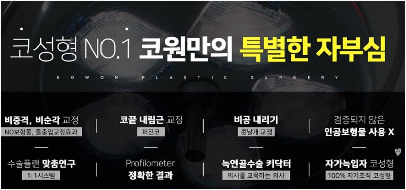 반버선코 세련된 코라인과 비중격만곡증수술후기 사진 10
