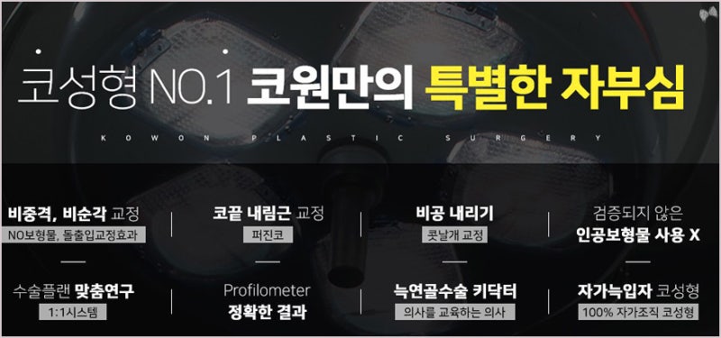 코끝높이기 및 코필러유지기간 압구정로데오성형외과 사진 10