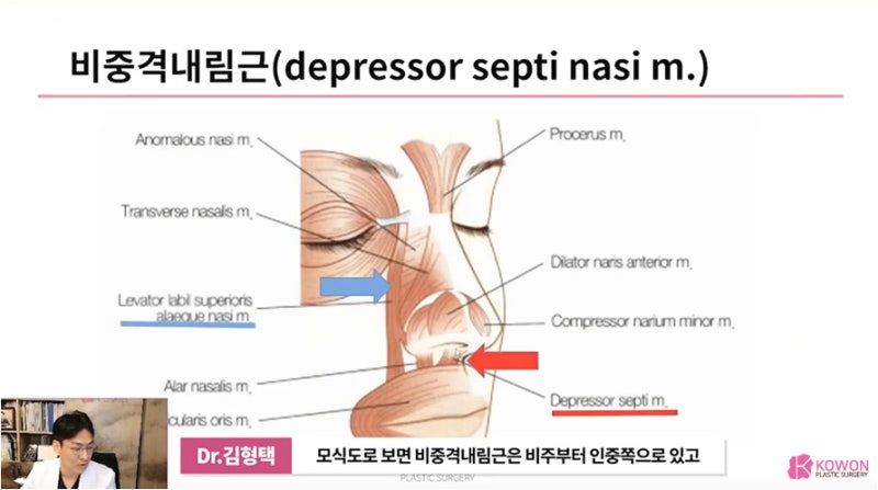 화살코관상 얼굴의 인상을 좌우하는 긴코성형 사진 8