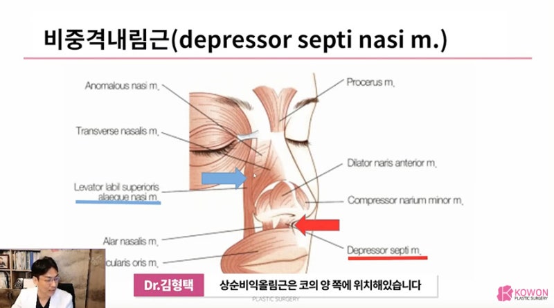 화살코관상 얼굴의 인상을 좌우하는 긴코성형 사진 9