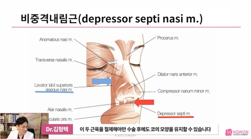 화살코관상 얼굴의 인상을 좌우하는 긴코성형 사진 13