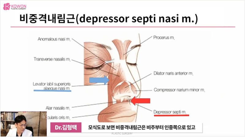 강남성형외과유명한곳 밸런스 맞춘 화살코교정 사진 8