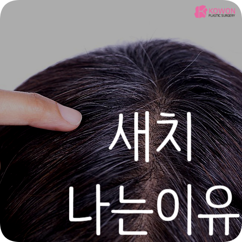 새치뽑으면 안되는 이유 및 새치원인