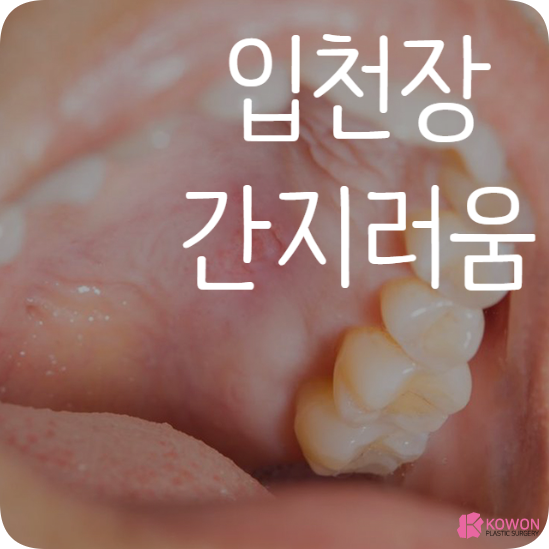 입천장간지러움 유발원인 및 해결방법