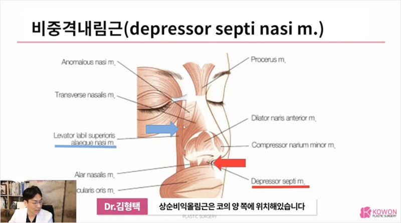 코성형외과유명한곳 코근육 쳐진코 개선방법 사진 9