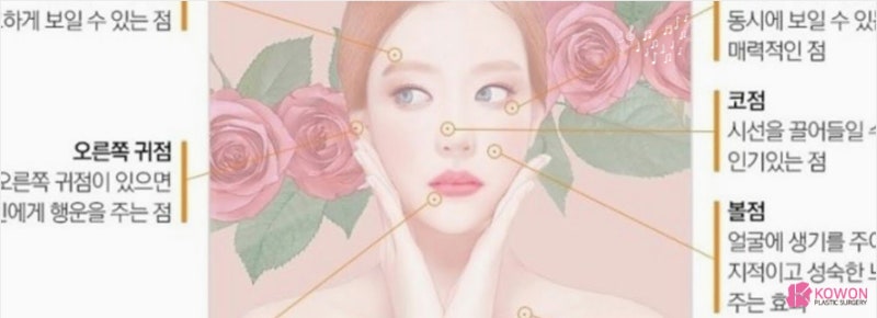 코에점관상 색깔 연예인 및 인기 재물 사진 9