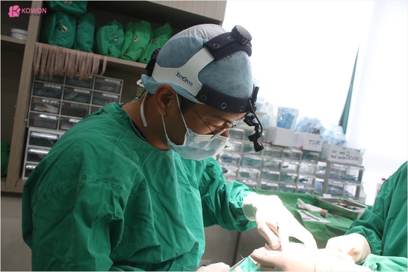 코재수술유명한곳 자가늑 활용한 코재건수술 사진 3
