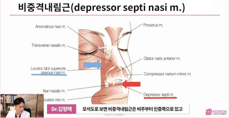 압구정성형외과 처지는 화살코수술 잘하는 곳 사진 6