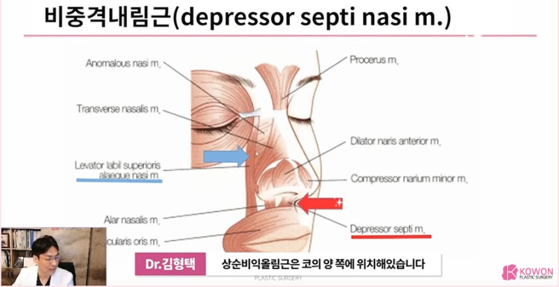 압구정성형외과 처지는 화살코수술 잘하는 곳 사진 7